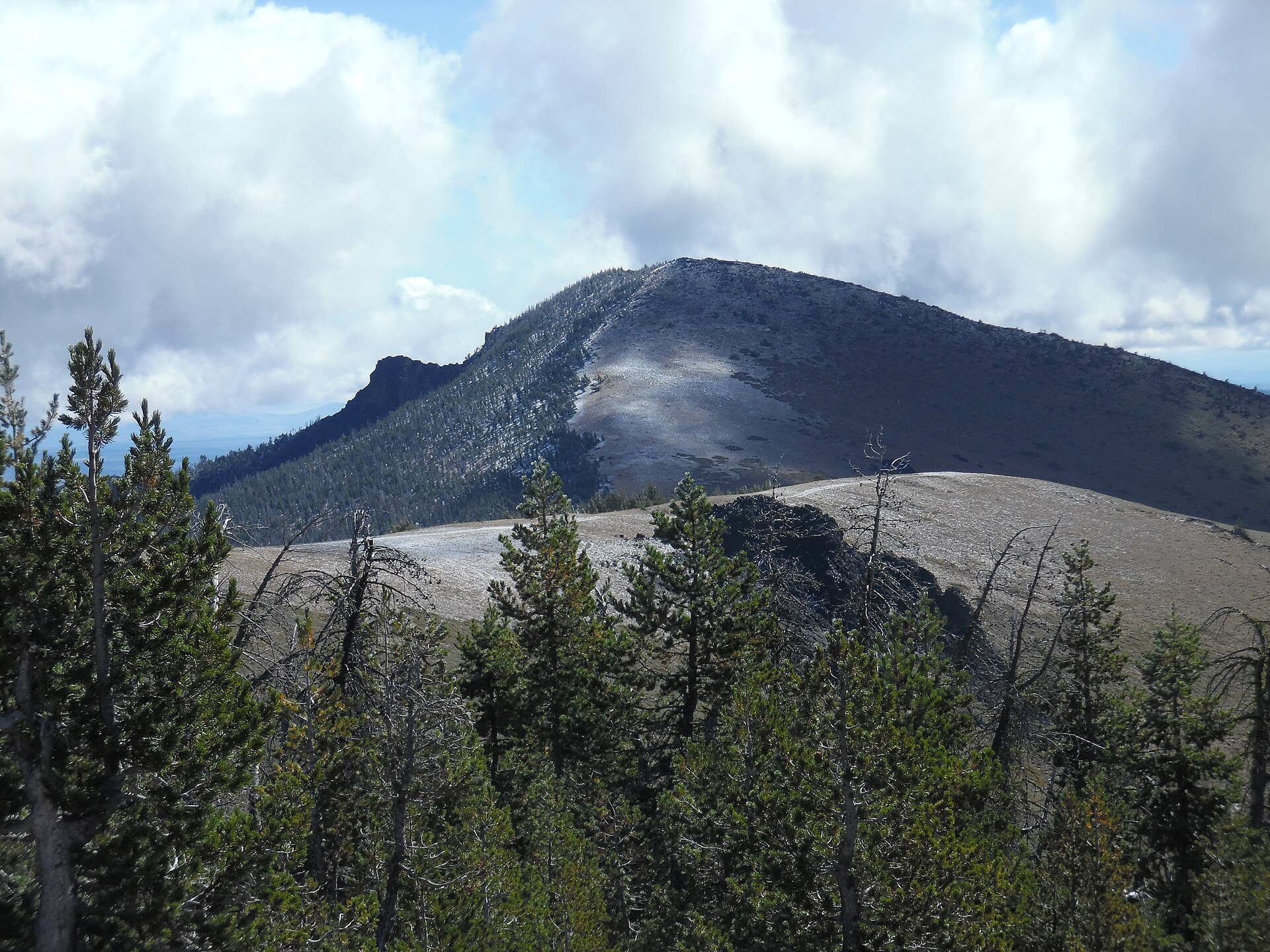 Oregon Timber Trail
